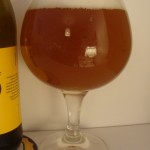 Salamander Pale Ale