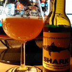 Zdjęcie dodane przez Suchy - Shark