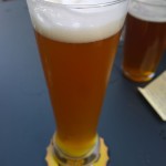 Siwy Miś