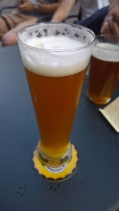 Siwy Miś