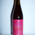 Sourness Raspberry Sour Ale