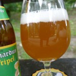 St. Bernardus Tripel (Belgia)