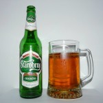 Starobrno Tradicni (Czechy)