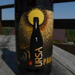 Ursa Pantokrator
