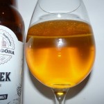 Witek