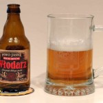 Włodarz Mocne