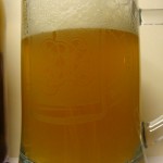 Wojkówka Pils Premium
