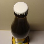 Wrężel Stout Owsiany