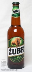 Żubr