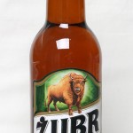 Żubr