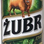 Żubr