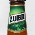 Żubr