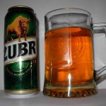 Żubr